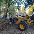 FOTO: "Zelenilo" završava sanaciju štete na zelenilu u novosadskim školama i vrtićima