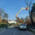 Uklonjena stabla i visoko rastinje kod podvožnjaka na Beogradskom putu u Vršcu