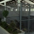 Sklonište Za pse lutalice: U selu Dobrinje obezbeđen objekat za smeštaj oko 200 životinja bez doma (foto)