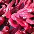 Mirjanić: Leskovačka paprika za primer