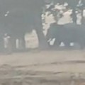 Krvavi pohod: Slon ubio 17 ljudi tokom praznika, otkidao im glave (video)