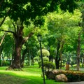 Zlatibor dobija multifunkcionalni park Palisad od 17 celina