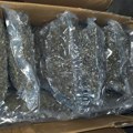 Policija na auto-putu kod Niša u automobilu pronašla preko 21 kilogram marihuane