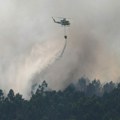 Katastrofa u Srbiji: Uništeno preko 140.000 kubika šume, a evo ko je glavni krivac