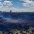 Požar kod Varvarina uništio više hektara pšenice