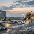 Dvojica radnika aerodroma Frankfurt umrla od malarije, sumnja se da je komarac stigao avionom