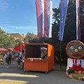 Užitak u bogatoj ponudi različitih proizvođača na "Danima ludaje" u Kikindi
