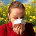 Klimatske promene nas i direktno udaraju u nos Sezona alergija sve nam duže traje i ranije počinje