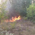 Gori trava i nisko rastinje u ataru sela Jasenovik kod Niša, gašenje otežava nepristupačan teren