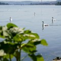 U Srbiji se obeležava Međunarodni dan reke Dunav "Ujedinjeni Dunavom - igraj za vodu"