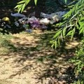 SRCE Vranje: Smeće „staro“ četiri meseca u kontejnerima u Balinovcu