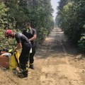 Prikupljanje pomoći za područje Deliblatske peščare na Smotri narodnog stvaralaštva