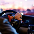 Vozačka dozvola za osobe sa epilepsijom: Čeka se ocena Ministarstva zdravlja na novi pravilnik