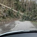 Vetar tokom noći napravio haos, jutros sva pala stabla uklonjena i situacija normalizovana: Vatrogasci-spasioci i putari imali…