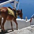 Santorni uveo nova pravila za turiste, prevoz magarcima neće više biti dostupan svima