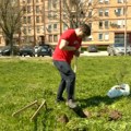 Kako je jedan Leskovčanin pokrenuo akciju sadnje neobičnog drveća?