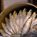 Kako da napravite umak od sardina - pročitajte recept