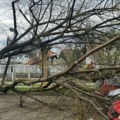 Zagreb sabira štetu od nevremena, procenjuje se da je srušeno do 3.000 stabala