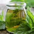 Sirup od koprive: Prirodni eliksir za jačanje organizma