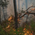 Brusilicom sekao metal, varnice zapalile travu Uhapšen muškarac (65) zbog izazivanja požara kod Bovarskog jezera: Plamen se…