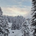 Da li se sprema ekstremna zima? Stogodišnji kalendar ima odgovor i daje datum kad se očekuje prvi sneg