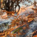 MUP apeluje na građane da ne lože vatru na otvorenom i ne pale strnjiku zbog opasnosti od požara