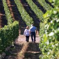 Srpski vinari ne treba da očekuju mnogo od sporazuma sa Kinom, pokazuje iskustvo Gruzije