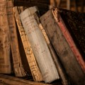 Веровали или не: Књиге које убијају - опасност вреба по библиотекама Европе