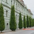 Obaveštenje JKP “Čistoća i zelenilo” Zrenjanin o hemijskom tretiranju drvoreda Zrenjanin - JKP "Čistoća i zelenilo"…