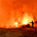 Nakon paklene vrućine, Francuska se sad bori sa požarima: 200 vatrogasaca na terenu, vatra besni