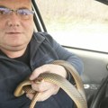 "Zato se kaže pije kao smuk": Evo gde je poznati zmijolovac Vladica pronašao ljutu guju