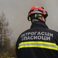 Na Kalemegdanu goreli trava i nisko rastinje