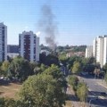 Crni dim iznad Novog Beograda – vatrogasci hitno intervenišu između Gandijeve i Bežanijske kose