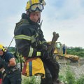 FOTO: Novosadski vatrogasci spasili psa iz bunara