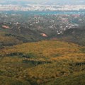 Čuvar šume u NP “Fruška gora” udavio povređenog srndaća? Ispituje se odgovornost zaposlenog