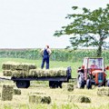 Od 60 gradskih toplana, samo 10 koristi bio-masu