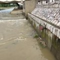 Krvava reka u Novom Pazaru: Jezivi prizori sa Raške, na lice mesta odmah stigla policija i veterinarska inspekcija