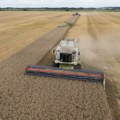 Udar na stabilnost svetskog tržišta hranom: Poljoprivredni sektor Ukrajine u ratu izgubio više od 10 milijardi dolara