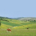 Banje i planine umesto mora i peska