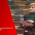 Mihailović (SDPS) izabrana za potpredsednicu Socijalističke Internacionale Žena za Centralnu i Istočnu Evropu