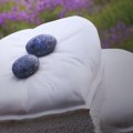 Pigmalion iz Tamjanice kao inspiracija umetnika