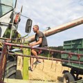 Objava primirja oborila cene žitarica