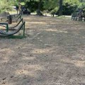 Uređuju plaže u Obrenovcu: Akcija čišćenja lokalnih kupališta