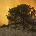 Grčka: Izbio novi požar u Kimiju na ostrvu Eubeja, gore maslinjaci
