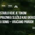 Jelke kupljene za praznike nastavljaju svoj život u prirodi