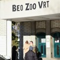 U Beo zoo vrtu jedan kavez je ostao prazan: Deci omiljene životinje uginule, sve do jedne, evo šta je razlog