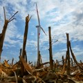 Budućnost energije koja ne zagađuje (AUDIO)
