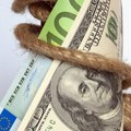 Vlada Srbije uputila Skupštini predloge zakona za zaduženje od 410 miliona evra