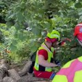 FOTO, VIDEO: Spasioci pomogli muškarcu koji je na Fruškoj gori pao sa visine i povredio se