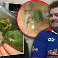 Kupio kesu zelene salate, a u njoj žaba! Australijanac prvo mislio da je to šala gostiju koje je zvao na roštilj, nazvali je…